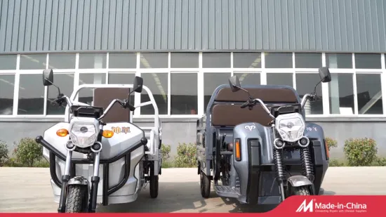 Shenyangfy150 Electric Cargo Tricycle