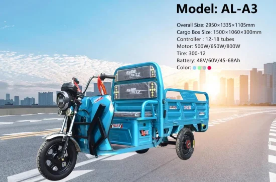 1200W Motor Electric Tricycle Cargo Tricycle Pick up Tricycle