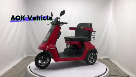 500W /1000W 60V/ 48V Fat Tyre Three Wheel One Seat Electric Scooter, Electric Vehicle, Electric Tricycle for Passenger or Diabled