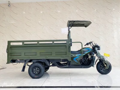 Motorcycle Tricycle High Quality 3 Wheel Cargo Tricycle for Adult