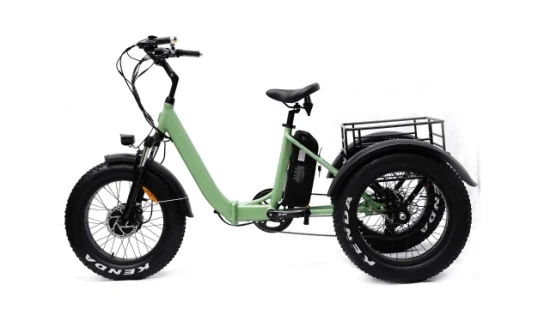 Professional Factory 500W Motor 3 Wheel Electric Cargo Ebike Electric Tricycle