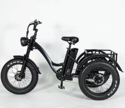 Adult Cargo Electric Tricycle Equipped with 500W Bafang Motor 12.8ah Battery