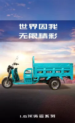 China Factory Electric Rickshaw Adult Passenger Tricycle