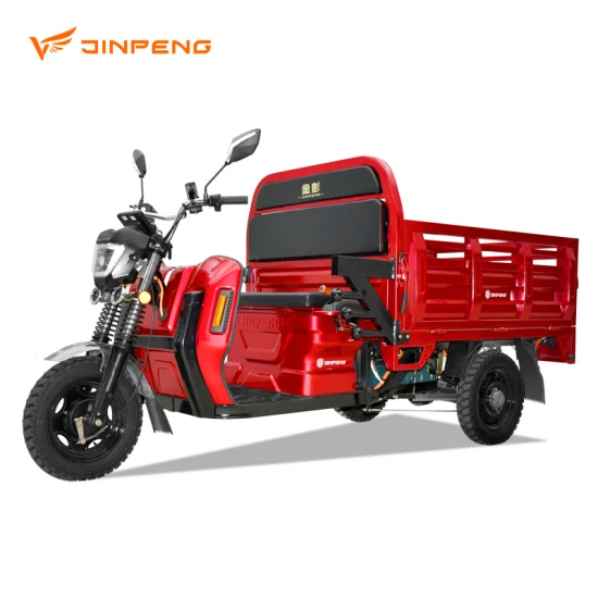 Smart Electric Tricycle 60V/72V 1000W Differiential Motor 3 Wheel Trike for Passenger and Cargo Carrier