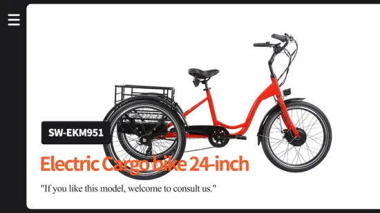 Combo Vending Machine 48V Family Cargo Bike Import Electric Tricycle From China