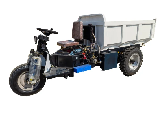 Tricycle for Heavy Cargo Diesel Oil 3 Wheel Motorcycle Fuel Tricycles