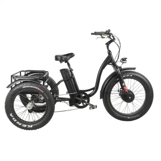 Three Wheels Electric Cargo Bike 48V500W Front Hub Motor Electric Tricycle 20inch 4.0 Fat Tire Tricycle with Basket