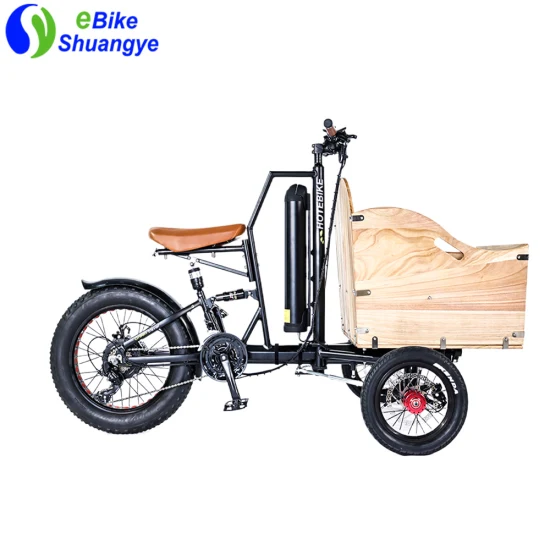 High Performance 500W Motor Aluminum Frame 3 Wheels Road Bikes Family Electric Cargo Tricycle