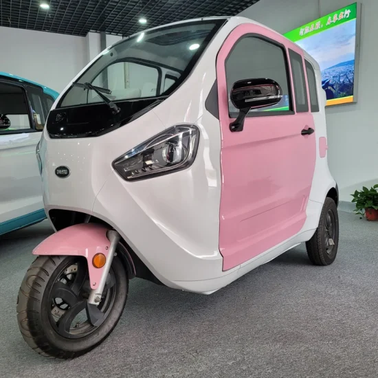 Adult Enclosed Three Wheel Motor Cargo Passenger Electric Tricycle with Battery