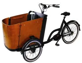 MID Motor 250W Cargo Bike Electric Tricycle with Wooden Box Dutch Bike