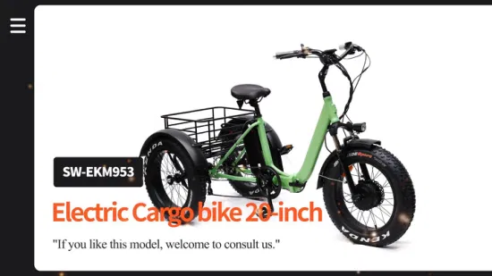 Cheap Price Other Parent Child Motor Drive Electric Tricycle